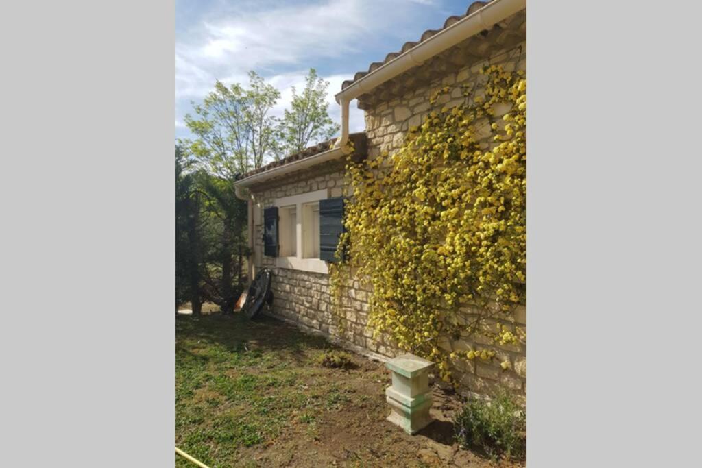 Appartement 2 Pers Avec Acces Piscine Saint-Rémy-de-Provence Exterior photo